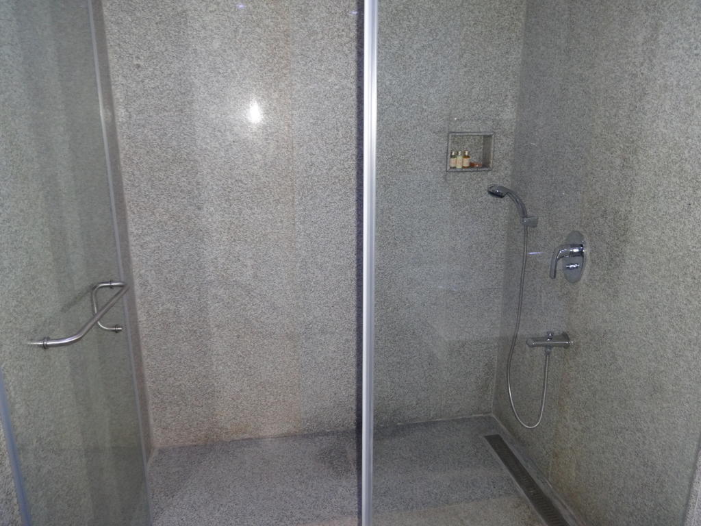 Hotel Patliputra Exotica Patna  Pokój zdjęcie